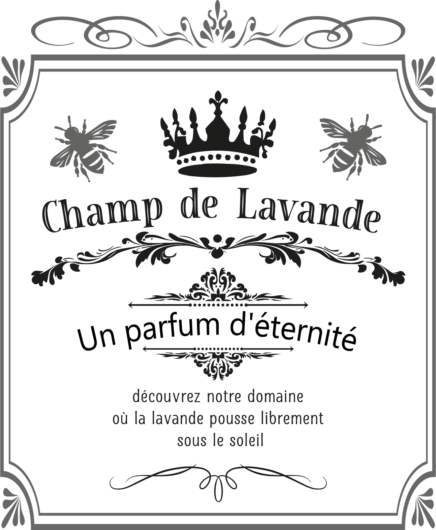 Champ de Lavande