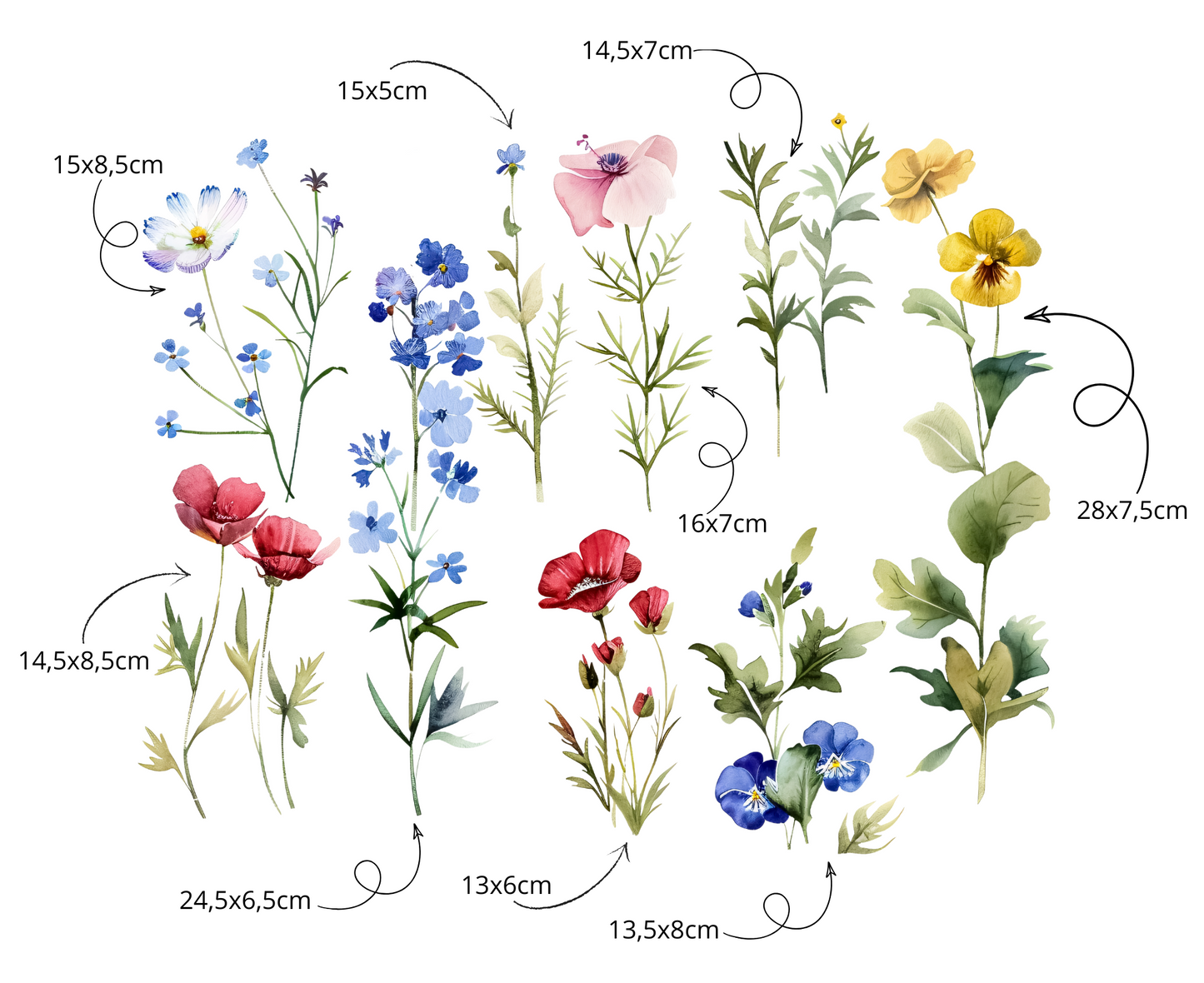 Fiori di Campo