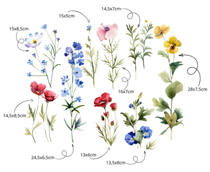 Fiori di Campo